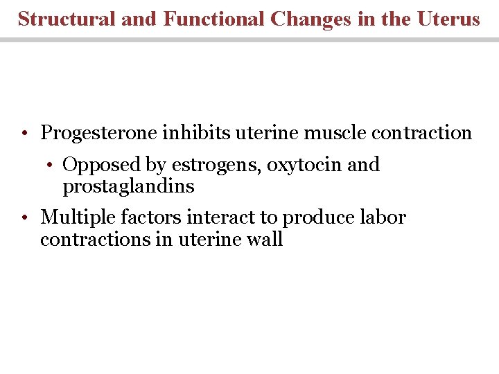 Structural and Functional Changes in the Uterus • Progesterone inhibits uterine muscle contraction •