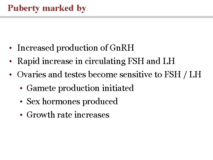 Puberty marked by • Increased production of Gn. RH • Rapid increase in circulating