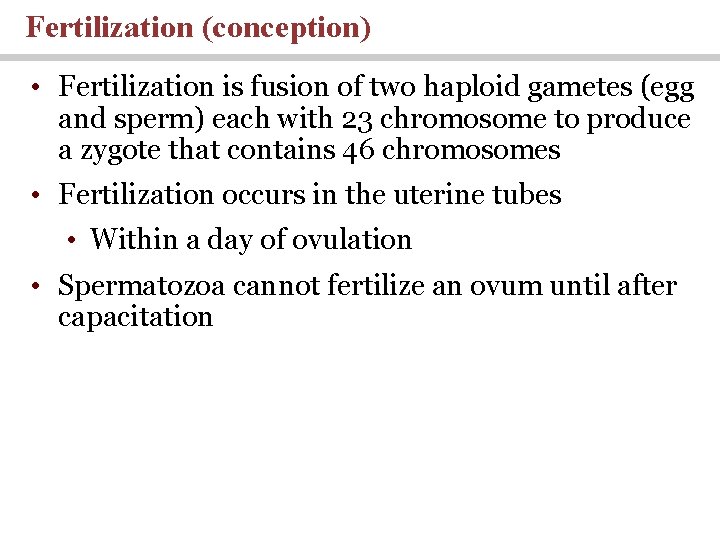 Fertilization (conception) • Fertilization is fusion of two haploid gametes (egg and sperm) each