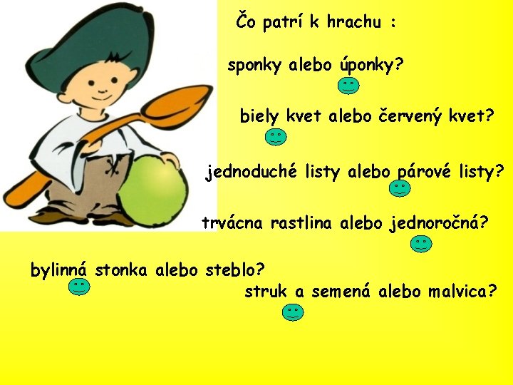 Čo patrí k hrachu : sponky alebo úponky? biely kvet alebo červený kvet? jednoduché