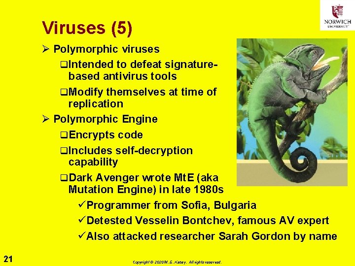 Viruses (5) Ø Polymorphic viruses q Intended to defeat signaturebased antivirus tools q Modify