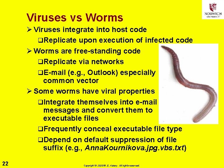 Viruses vs Worms Ø Viruses integrate into host code q. Replicate upon execution of