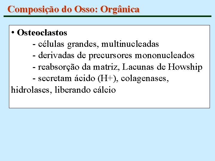 Composição do Osso: Orgânica • Osteoclastos - células grandes, multinucleadas - derivadas de precursores