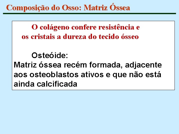 Composição do Osso: Matriz Óssea O colágeno confere resistência e os cristais a dureza