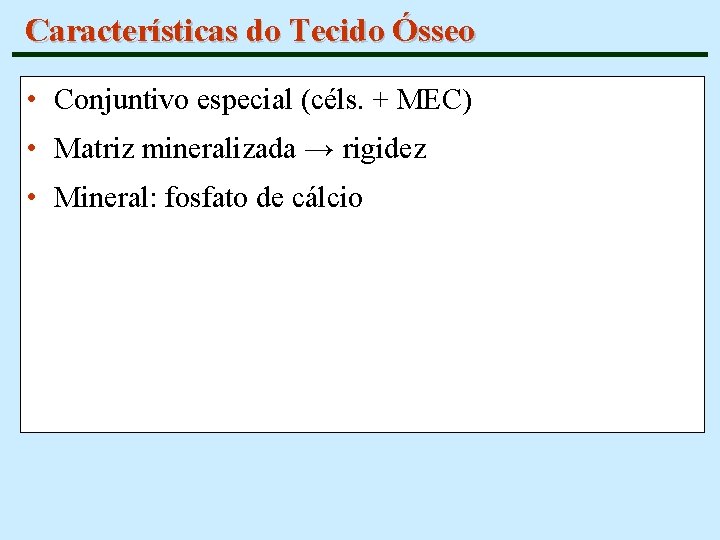 Características do Tecido Ósseo • Conjuntivo especial (céls. + MEC) • Matriz mineralizada →