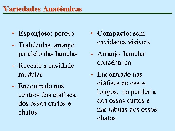 Variedades Anatômicas • Esponjoso: poroso - Trabéculas, arranjo paralelo das lamelas - Reveste a