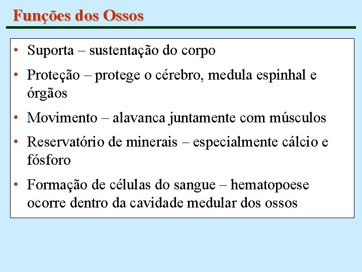 Funções dos Ossos • Suporta – sustentação do corpo • Proteção – protege o