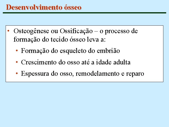 Desenvolvimento ósseo • Osteogênese ou Ossificação – o processo de formação do tecido ósseo