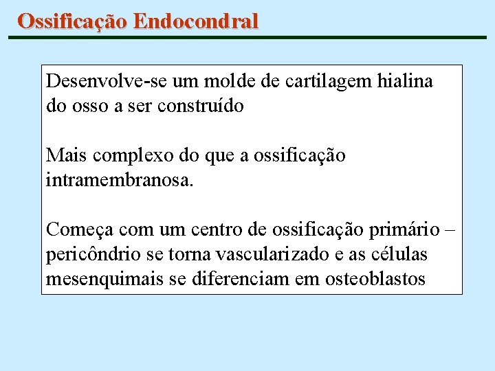 Ossificação Endocondral Desenvolve-se um molde de cartilagem hialina do osso a ser construído Mais