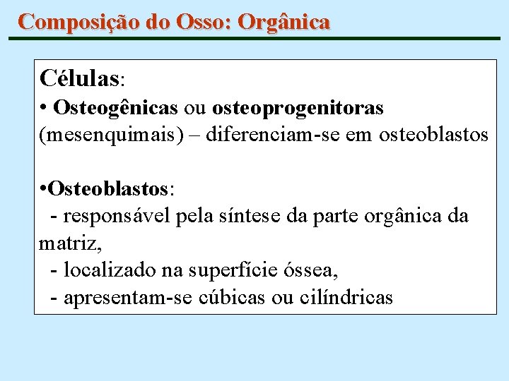 Composição do Osso: Orgânica Células: • Osteogênicas ou osteoprogenitoras (mesenquimais) – diferenciam-se em osteoblastos