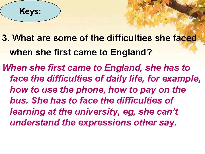 Keys: 3. What are some of the difficulties she faced when she first came