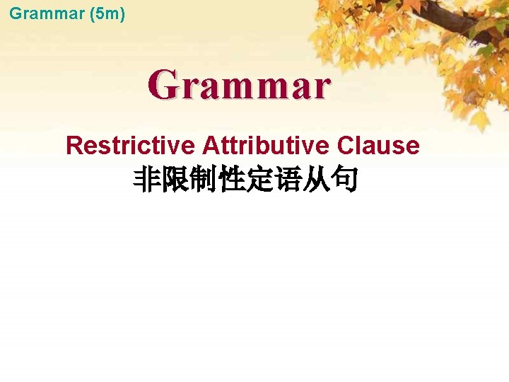 Grammar (5 m) Grammar Restrictive Attributive Clause 非限制性定语从句 