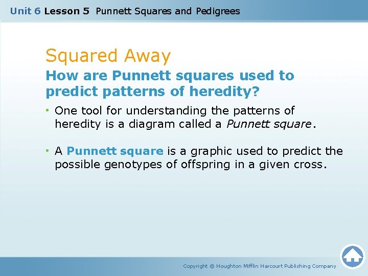 Unit 6 Lesson 5 Punnett Squares and Pedigrees Squared Away How are Punnett squares