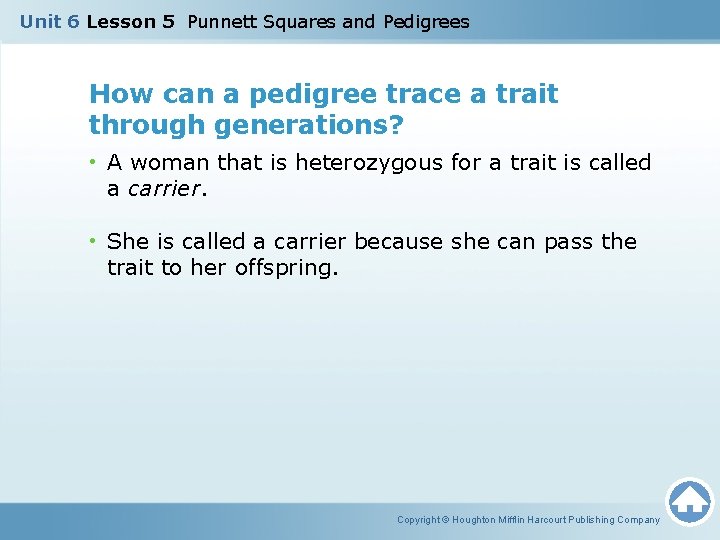 Unit 6 Lesson 5 Punnett Squares and Pedigrees How can a pedigree trace a