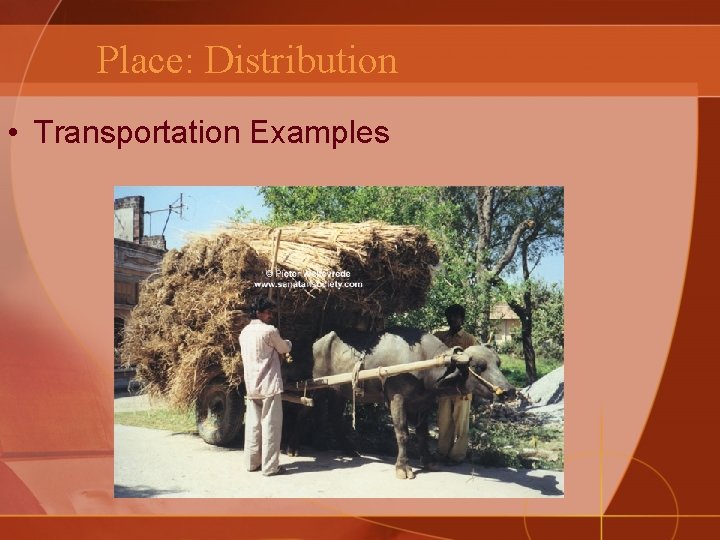 Place: Distribution • Transportation Examples 
