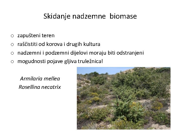 Skidanje nadzemne biomase o o zapušteni teren raščistiti od korova i drugih kultura nadzemni