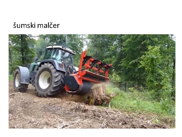 šumski malčer 