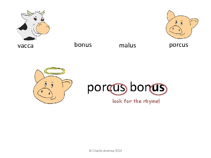 vacca bonus malus porcus bonus look for the rhyme! © Charlie Andrew 2016 porcus