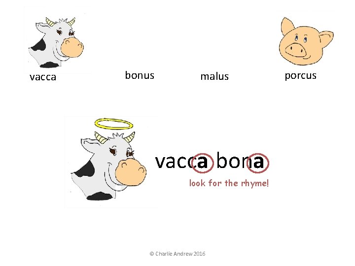 vacca bonus malus vacca bona look for the rhyme! © Charlie Andrew 2016 porcus