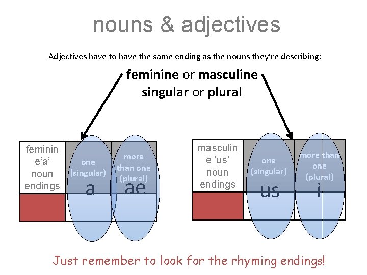 nouns & adjectives Adjectives have to have the same ending as the nouns they’re