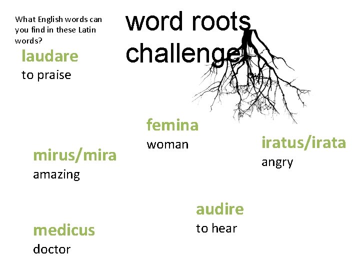 What English words can you find in these Latin words? laudare to praise word
