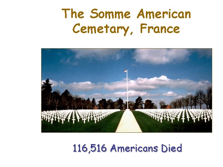 The Somme American Cemetary, France 116, 516 Americans Died 