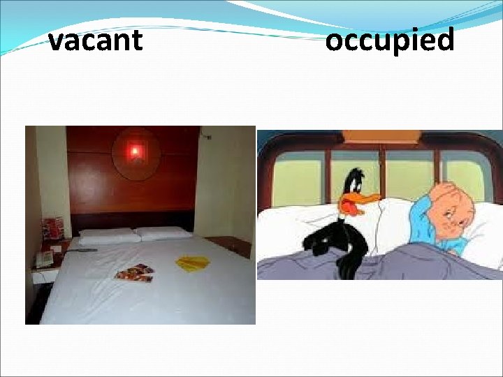 vacant occupied 