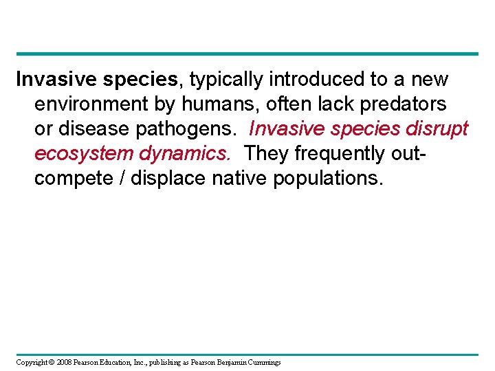 Invasive species, typically introduced to a new environment by humans, often lack predators or