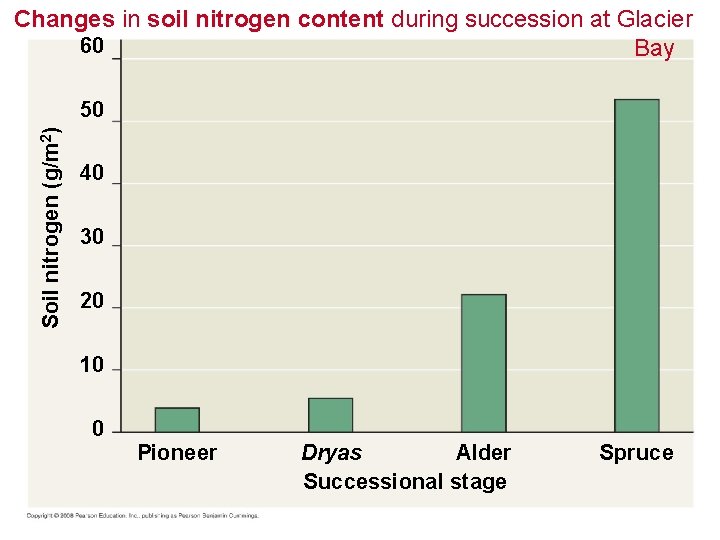Changes in soil nitrogen content during succession at Glacier 60 Bay Soil nitrogen (g/m