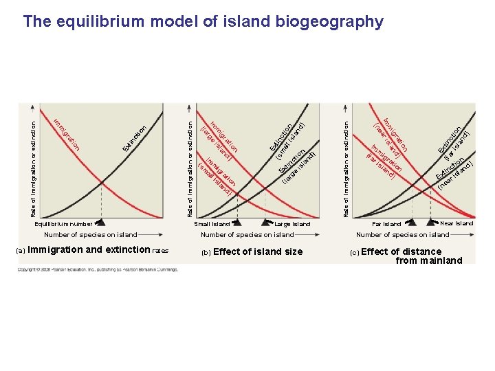 (a) Immigration and extinction rates Small island Large island Number of species on island