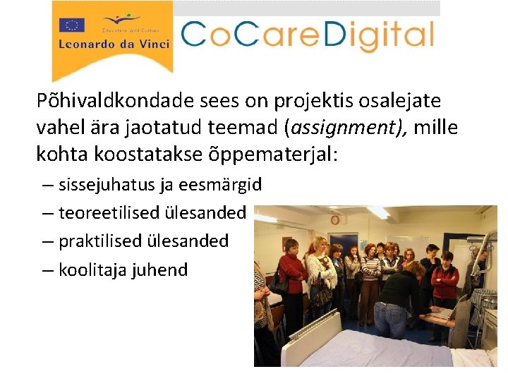 Põhivaldkondade sees on projektis osalejate vahel ära jaotatud teemad (assignment), mille kohta koostatakse õppematerjal: