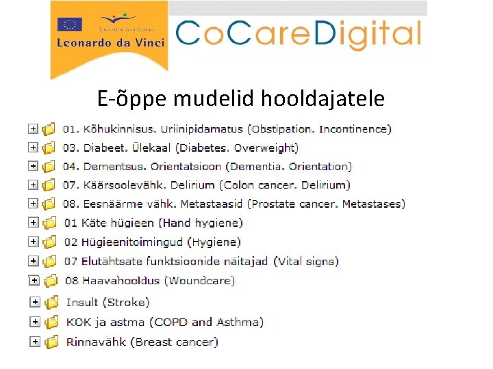 E-õppe mudelid hooldajatele 