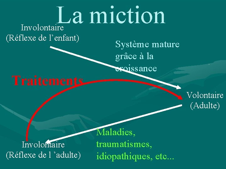 La miction Involontaire (Réflexe de l’enfant) Traitements Système mature grâce à la croissance Volontaire