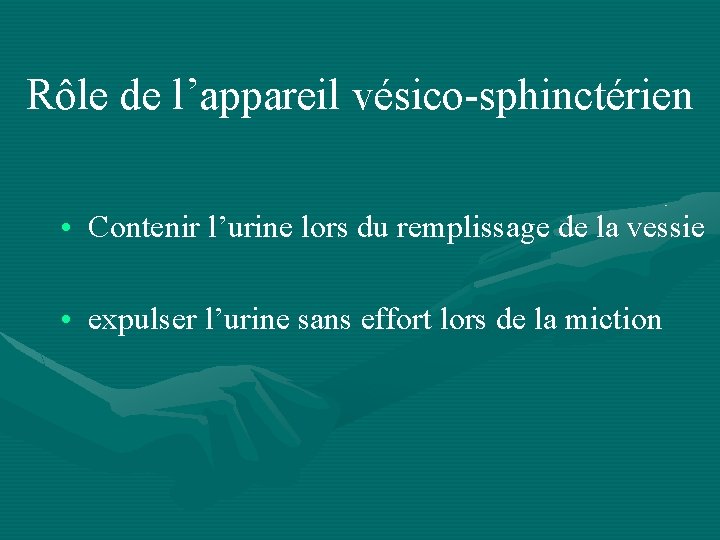 Rôle de l’appareil vésico-sphinctérien • Contenir l’urine lors du remplissage de la vessie •