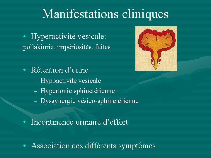 Manifestations cliniques • Hyperactivité vésicale: pollakiurie, impériosités, fuites • Rétention d’urine – – –