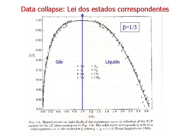 Data collapse: Lei dos estados correspondentes =1/3 Gás Líquido 