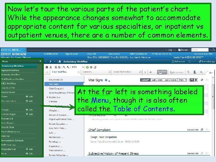 Now let’s tour the various parts of the patient’s chart. While the appearance changes