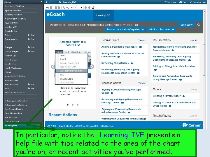 Items toward the bottom of the Table of Contents fill some other niches or