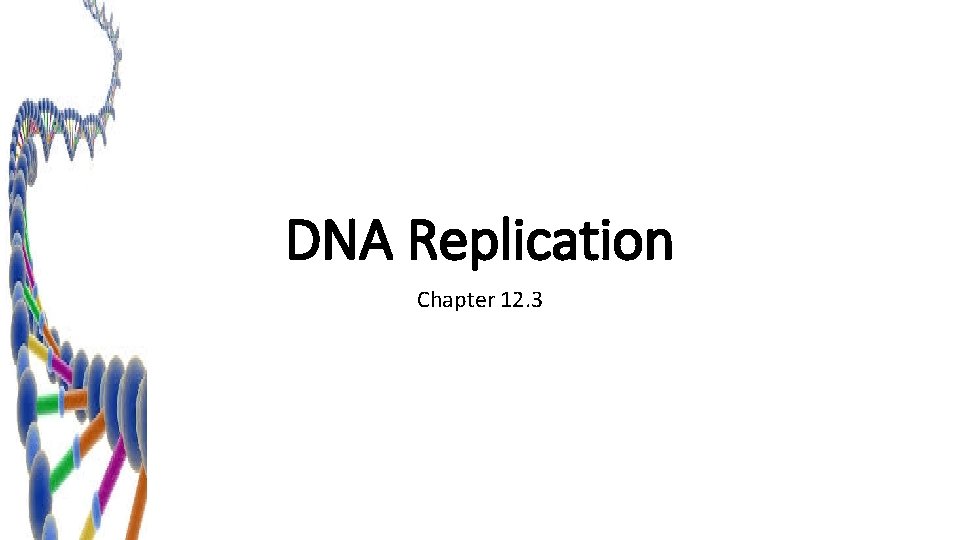 DNA Replication Chapter 12. 3 