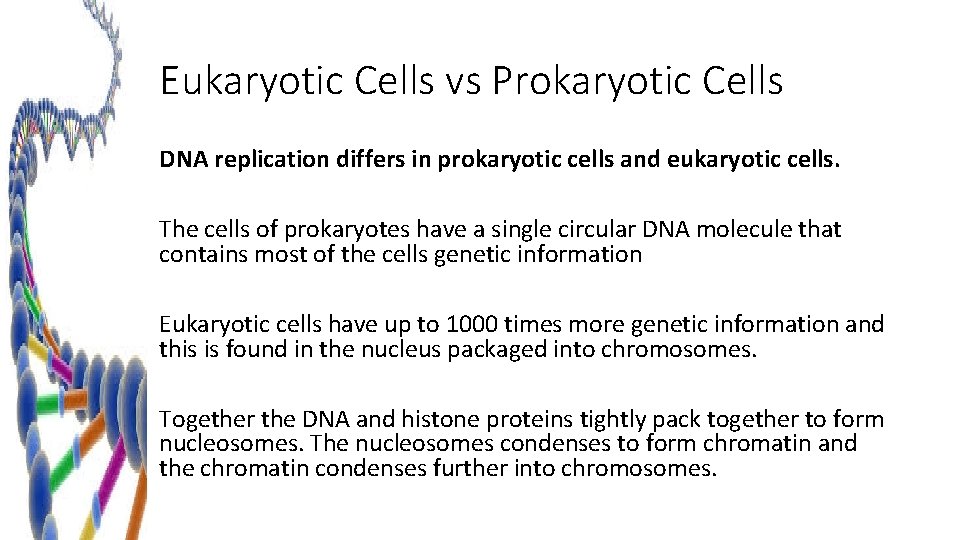 Eukaryotic Cells vs Prokaryotic Cells DNA replication differs in prokaryotic cells and eukaryotic cells.