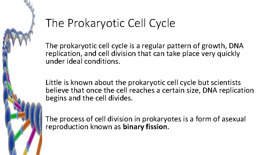 The Prokaryotic Cell Cycle The prokaryotic cell cycle is a regular pattern of growth,
