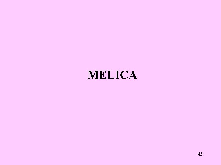 MELICA 43 