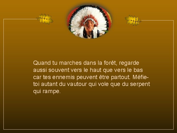 Quand tu marches dans la forêt, regarde aussi souvent vers le haut que vers