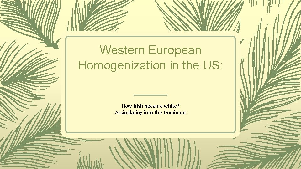 Western European Homogenization in the US: How Irish became white? Assimilating into the Dominant