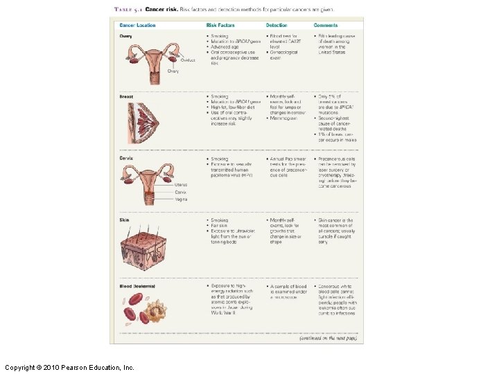 Copyright © 2010 Pearson Education, Inc. Copyright © 2010 Pearson Education, Inc.