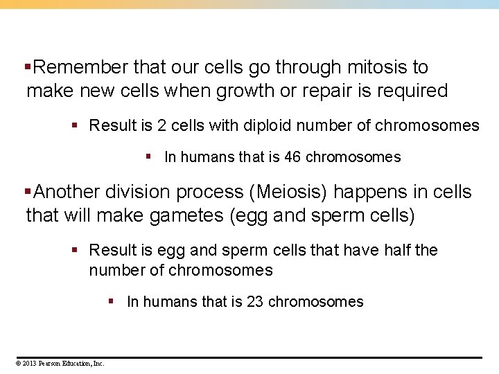 §Remember that our cells go through mitosis to make new cells when growth or §Remember that our cells go through mitosis to make new cells when growth or