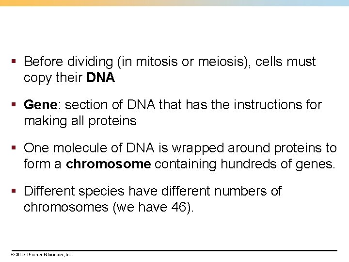§ Before dividing (in mitosis or meiosis), cells must copy their DNA § Gene: § Before dividing (in mitosis or meiosis), cells must copy their DNA § Gene: