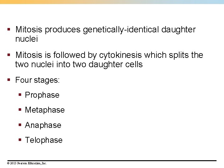 § Mitosis produces genetically-identical daughter nuclei § Mitosis is followed by cytokinesis which splits § Mitosis produces genetically-identical daughter nuclei § Mitosis is followed by cytokinesis which splits
