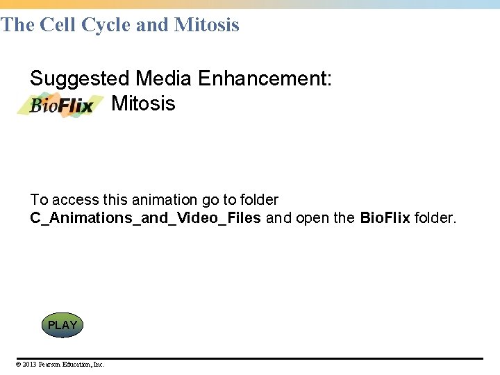 The Cell Cycle and Mitosis Suggested Media Enhancement: Mitosis To access this animation go The Cell Cycle and Mitosis Suggested Media Enhancement: Mitosis To access this animation go