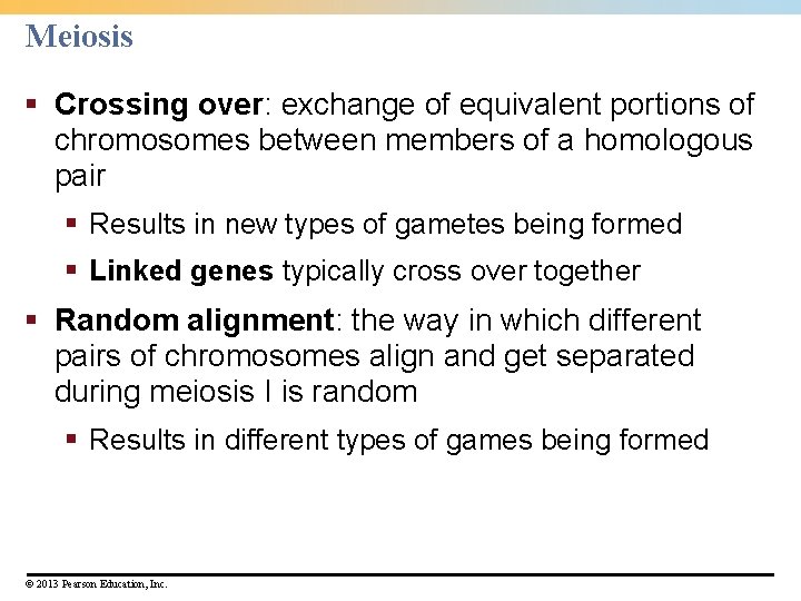Meiosis § Crossing over: exchange of equivalent portions of chromosomes between members of a Meiosis § Crossing over: exchange of equivalent portions of chromosomes between members of a